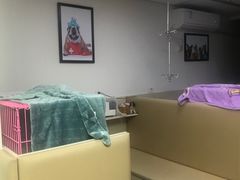 -喜多萌中农锦绣动物医院24H·猫科·牙科MRI·CT