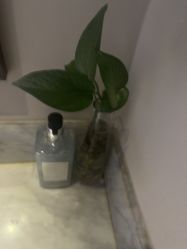 -禾颜社·精致美容