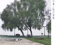-武昌江滩