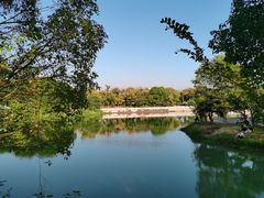-八大山人梅湖景区