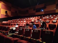 -金逸影城(武汉人信汇IMAX店)