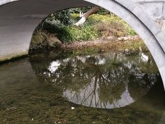 -杭州城北体育公园