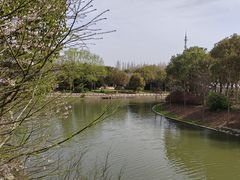 -上海海湾国家森林公园