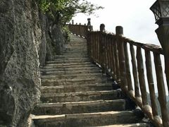-南宁花花大世界景区