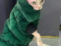 -极木²邸 人与宠物·互动社区