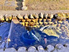 -白川乡与五箇山的合掌构造村落