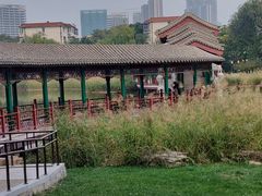 -西海子公园