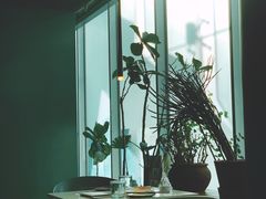 -半山腰·云南菜(侨福芳草地店)