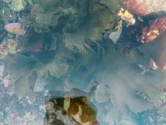 -西涌国际滨海旅游区