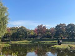 -美兰湖景区