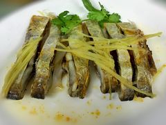 -新陶陶酒家