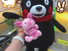 -PAWTOY爪e玩偶店(天兴罗斯福店)