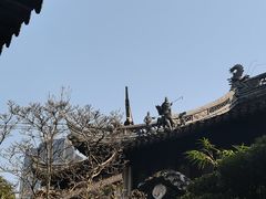 -豫园