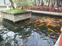 景观位-香山家宴