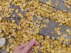 -南湖湿地公园