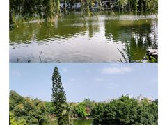 -东莞市可园博物馆