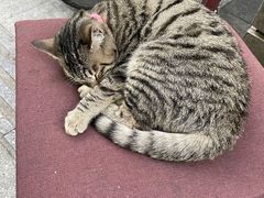 -五娭毑臭豆腐(黄兴南路店)