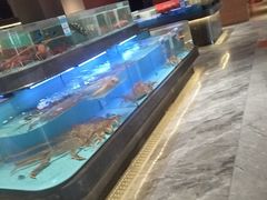 -阿伟海鲜楼·福建菜(延寿店)