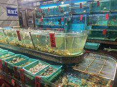 -海大大蒸汽海鲜餐厅·粤菜·特色小炒(欢乐颂店)
