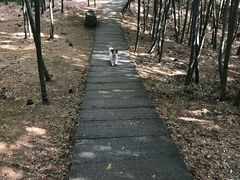 -藏龙百瀑风景区