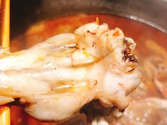 牛蛙火锅-老天桥蛙炉火锅(姑苏总店)