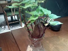 -十二舍·湯物素煮(江泰潤政店)