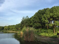 -美兰湖景区