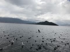 -丽江泸沽湖景区