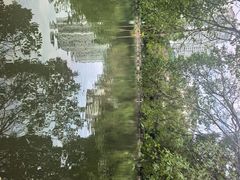 -柳侯公园