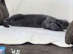 -冠群家居广场(会战大街店)