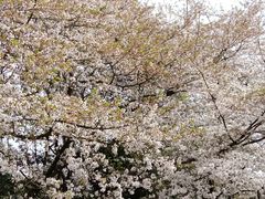 -杭州少年儿童公园