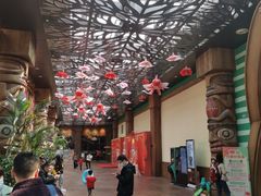 -杭州开元森泊度假乐园