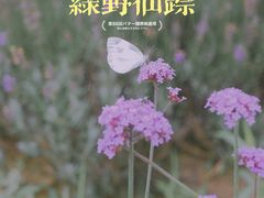 -上海杨姆庄园
