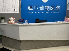 -福州肆爪动物医院
