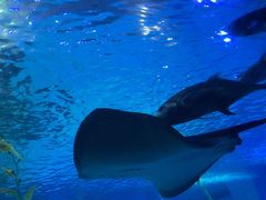 -常州海昌海洋探索馆