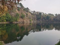 -王借岗森林公园