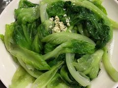 生菜-斯丹姜母鸭·古法干香(涂门街总店)