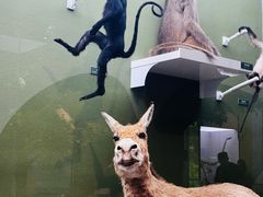 -国家自然博物馆