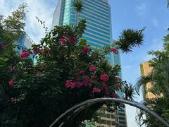 -讯号山花园