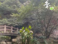 -广州市白云山风景名胜区