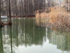 -白塘生态植物园