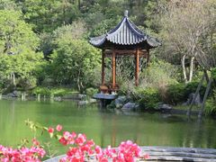 -云溪植物园