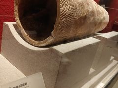 -南越王博物院(王宫展区)