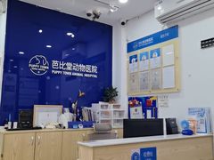 -芭比堂动物医院(广州爱宠下渡路分院)