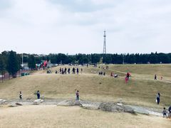 -滆湖低碳生态公园