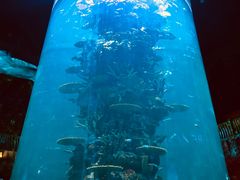 -青岛嘉年华主题乐园