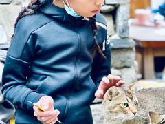 -喵屿·大理花园猫咖