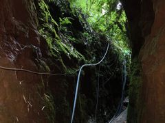 -沐川竹海旅游景区