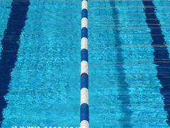 -沈坚强游泳俱乐部(武宁南路店)