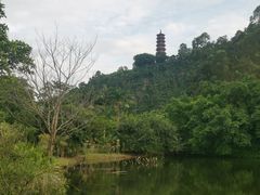 -南沙蒲洲花园